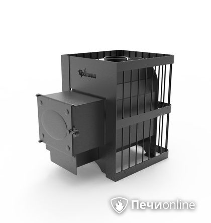 Дровяная банная печь Протопи Дачник Ч в Хабаровске